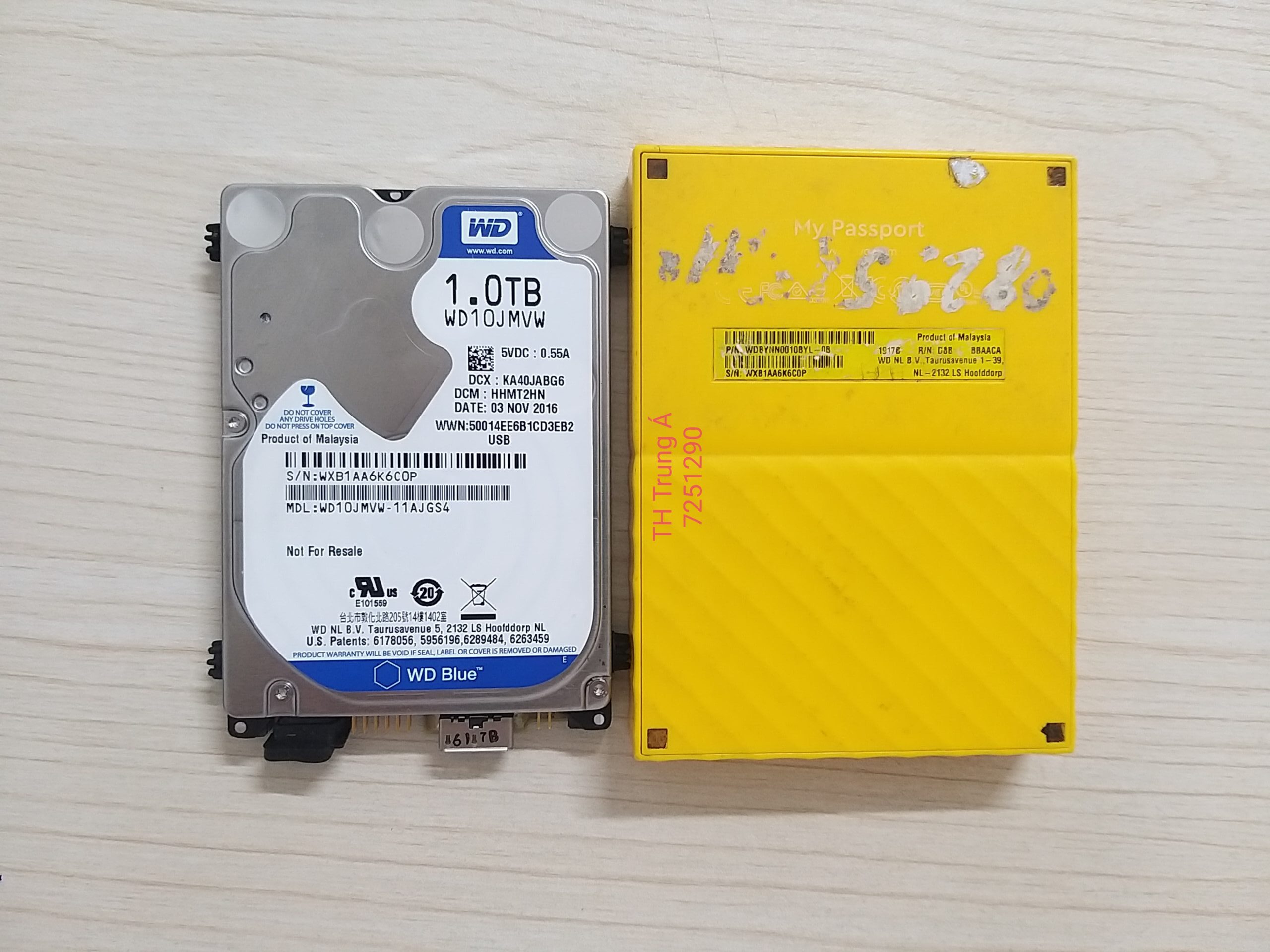 Khôi phục dữ liệu ở Quảng Trị